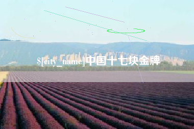 阳谷中国十七块金牌