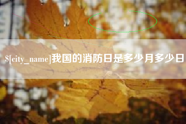 阳谷我国的消防日是多少月多少日
