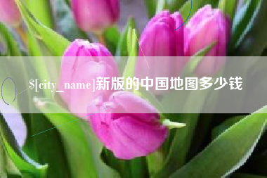 阳谷新版的中国地图多少钱