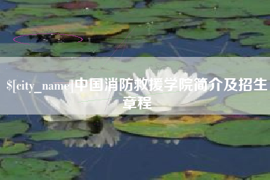 阳谷中国消防救援学院简介及招生章程
