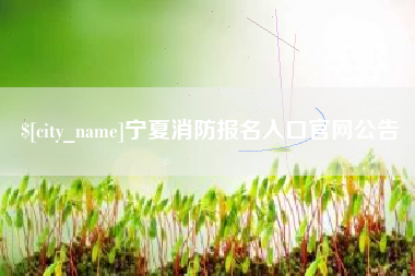 阳谷宁夏消防报名入口官网公告