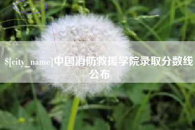 阳谷中国消防救援学院录取分数线公布