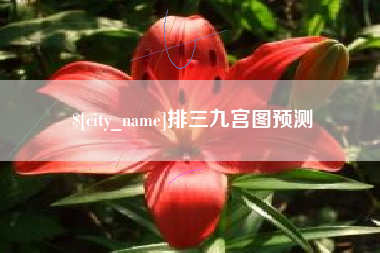 阳谷排三九宫图预测