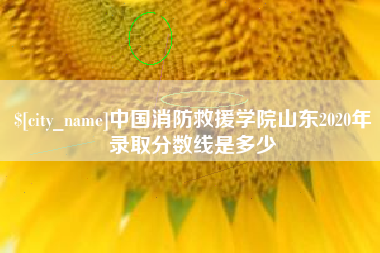 阳谷中国消防救援学院山东2020年录取分数线是多少