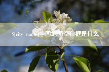 阳谷中国地图空白框是什么