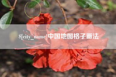 阳谷中国地图格子画法