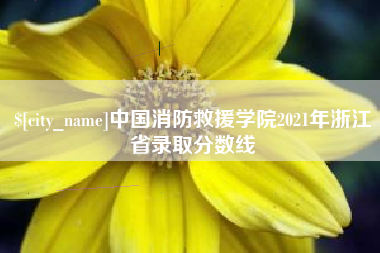 阳谷中国消防救援学院2021年浙江省录取分数线