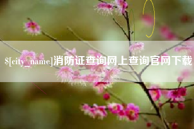 阳谷消防证查询网上查询官网下载