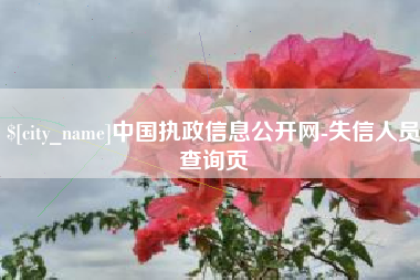 阳谷中国执政信息公开网-失信人员查询页