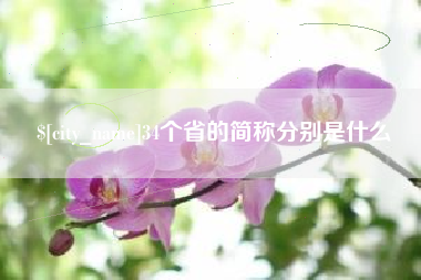 阳谷34个省的简称分别是什么