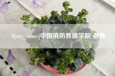 阳谷中国消防救援学院 老师