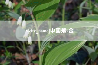 阳谷中国第9金