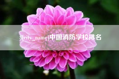 阳谷中国消防学校排名