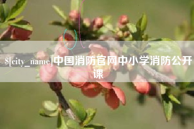 阳谷中国消防官网中小学消防公开课
