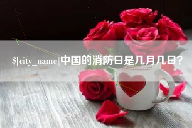 阳谷中国的消防日是几月几日？
