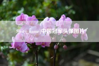 阳谷中国冠军头像图片