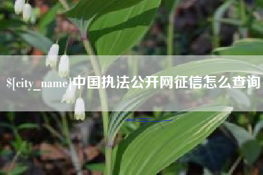 阳谷中国执法公开网征信怎么查询