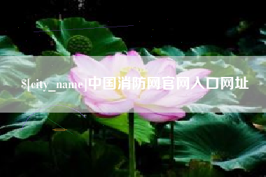 阳谷中国消防网官网入口网址
