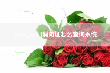 阳谷消防证怎么查询系统