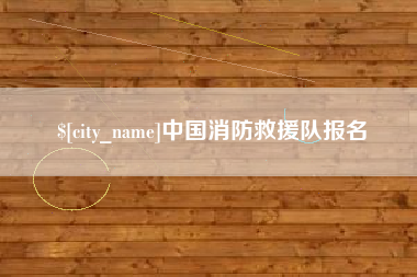 阳谷中国消防救援队报名
