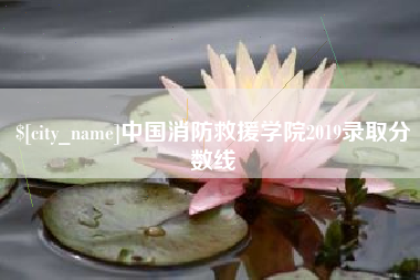 阳谷中国消防救援学院2019录取分数线