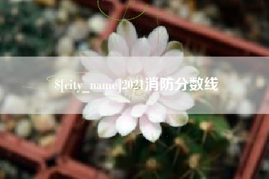 阳谷2021消防分数线