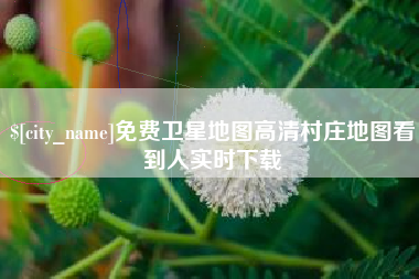 阳谷免费卫星地图高清村庄地图看到人实时下载