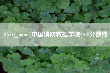 阳谷中国消防救援学院2018分数线