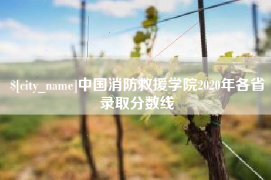 阳谷中国消防救援学院2020年各省录取分数线