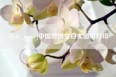 阳谷中国地图空白大图可打印