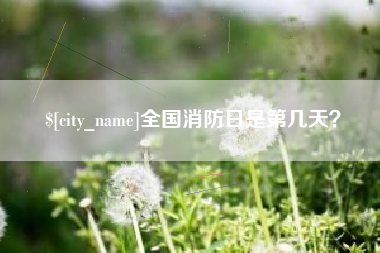 阳谷全国消防日是第几天？