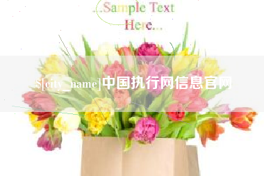 阳谷中国执行网信息官网