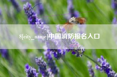 阳谷中国消防报名入口