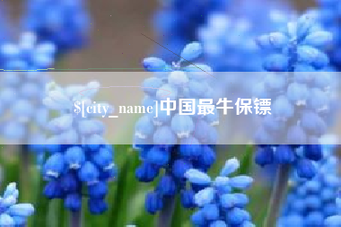 阳谷中国最牛保镖