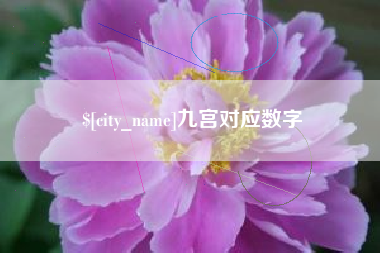 阳谷九宫对应数字
