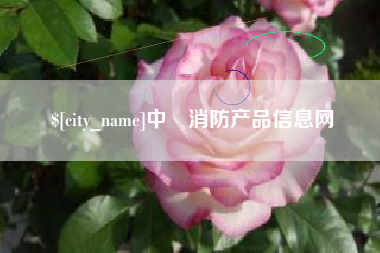 阳谷中囯消防产品信息网