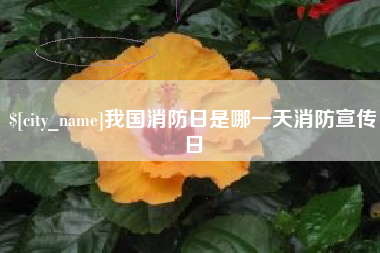 阳谷我国消防日是哪一天消防宣传日