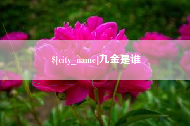 阳谷九金是谁