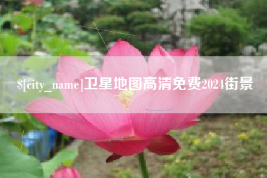 阳谷卫星地图高清免费2024街景