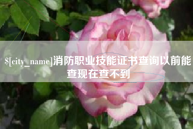 阳谷消防职业技能证书查询以前能查现在查不到