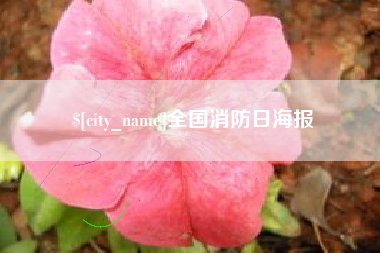 阳谷全国消防日海报