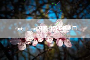 阳谷国家消防报名入口