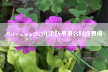 阳谷2025年消防员报名时间表格