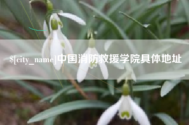 阳谷中国消防救援学院具体地址