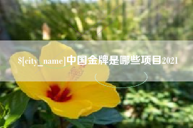 阳谷中国金牌是哪些项目2021