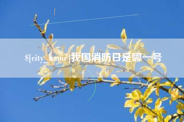 阳谷我国消防日是哪一号
