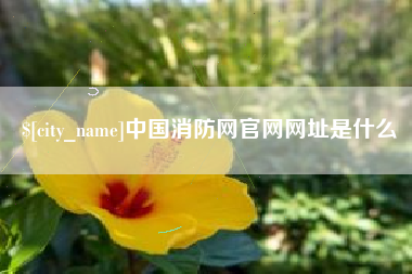 阳谷中国消防网官网网址是什么
