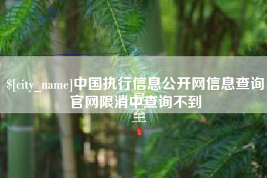 阳谷中国执行信息公开网信息查询官网限消中查询不到