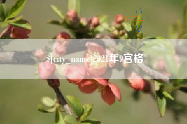 阳谷2021年9宫格