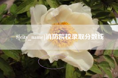 阳谷消防院校录取分数线